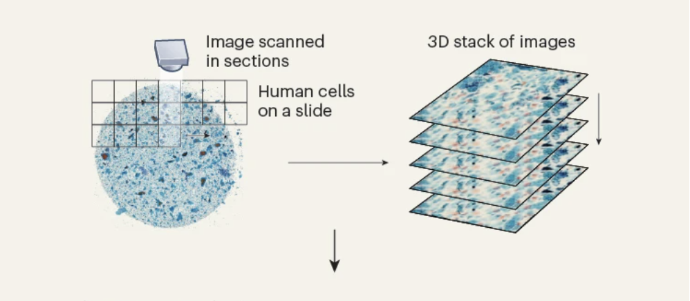 Nature News and Views preview