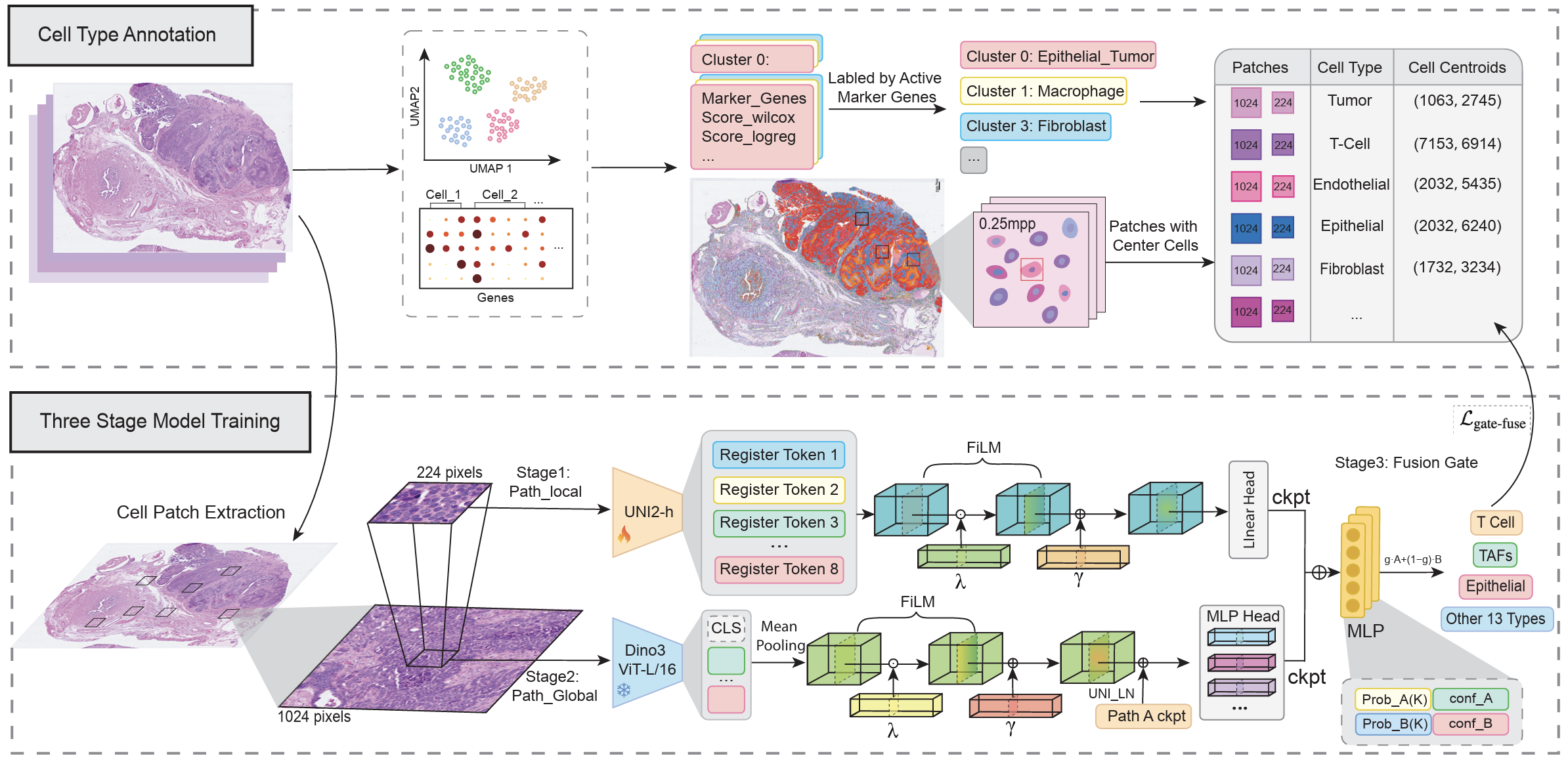 TissueLab project preview