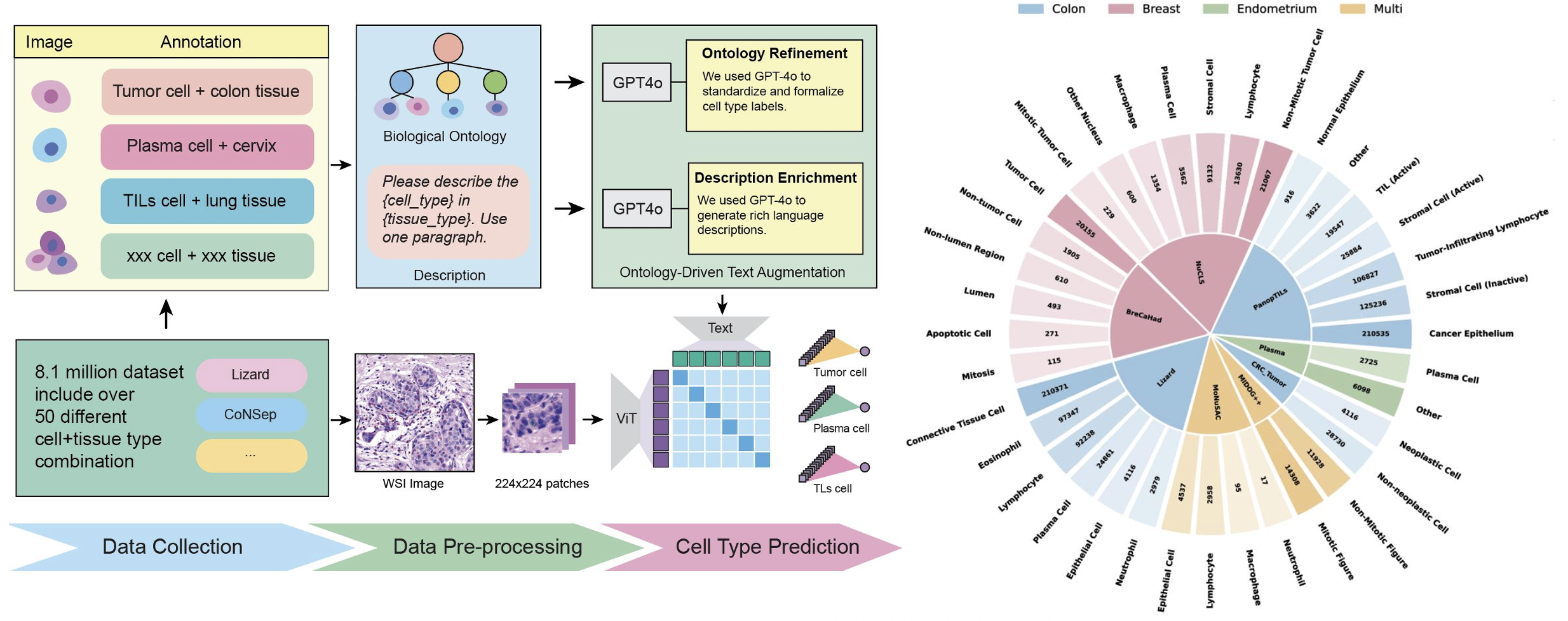NuClass workshop preview