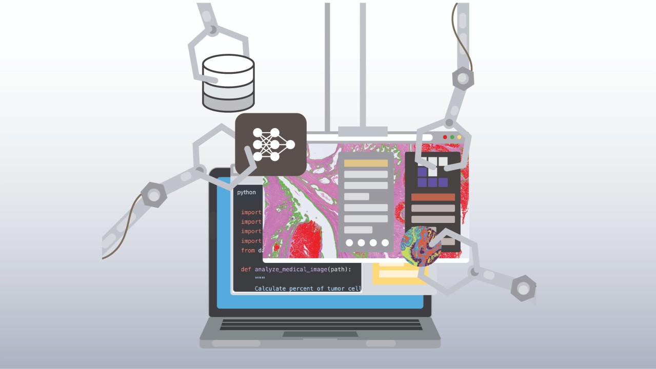 Nature News and Views preview